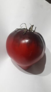 Сержант Пеппер 