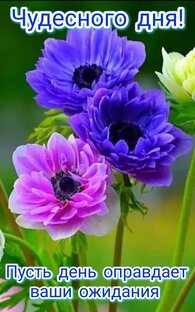 Интересные подборки обо всём подряд