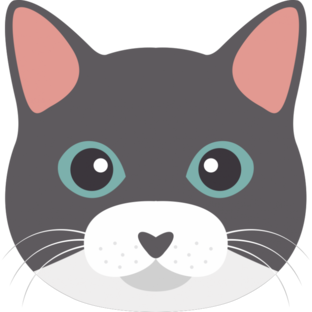 Кошки и котята ищут дом 