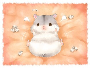 Ооочень Милые хомячки🐹✨