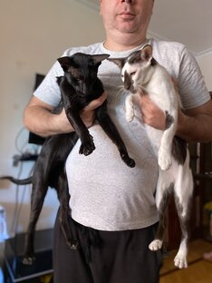 Семейные разборки 