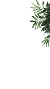 Цитата о еде 