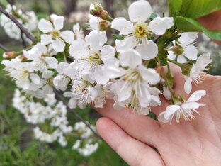 Будни и размышления