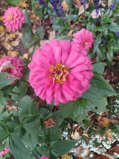 Готовые работы