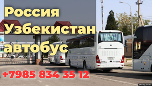 МОСКВА ТАШКЕНТ АВТОБУС БИЛЕТ НАРХЛАРИ 