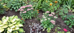 Как сделать красвый сад