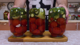 Заготовки на зиму  2022