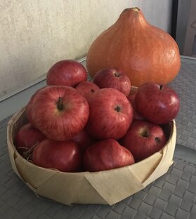 Простые рецепты 