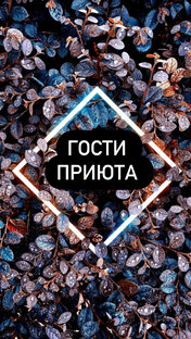 Гости приюта 