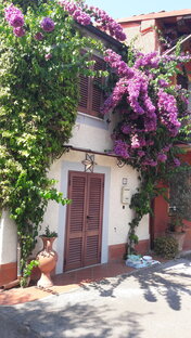 Марафон  сделает жизнь ярче