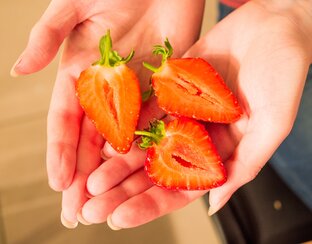 Обзоры культур на сити-ферме