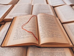 Запоминающиеся цитаты