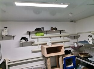 Наша передержка