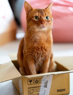 Интересное 