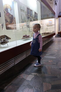 Музеи, океанариумы, зоопарки, прогулки в парках.