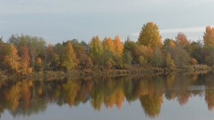 Осень.
