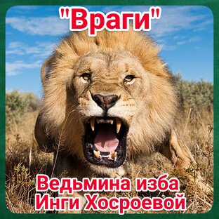 "Враги" 
