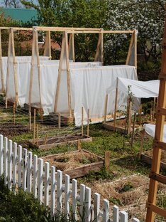 Огород на Кубани!