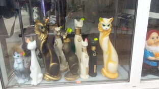 Жизнь кошачья