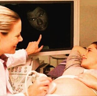 теории заговоров 