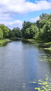 Путешествия 