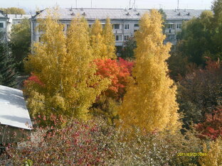 Мой дом и порядок в нем
