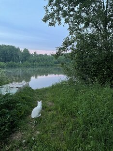Рыбалка