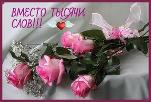 Мои любимые ролики