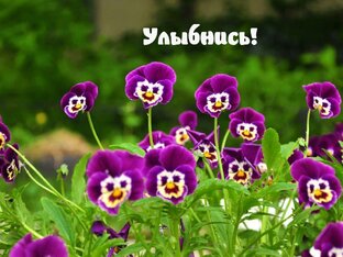 КРАСИВЫЕ ОТКРЫТКИ С ПОЖЕЛАНИЯМИ. 