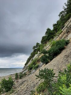 Аномальные зоны