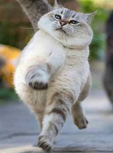 Обо всём и Анекдоты.