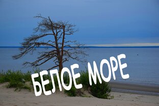 БЕЛОЕ МОРЕ