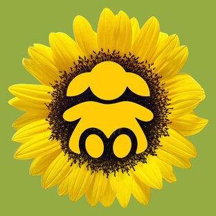 Полезные статьи.