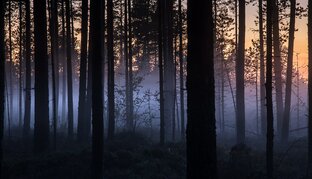 Семь