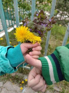 Логопедические секреты