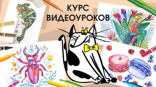КУРС видеоуроков