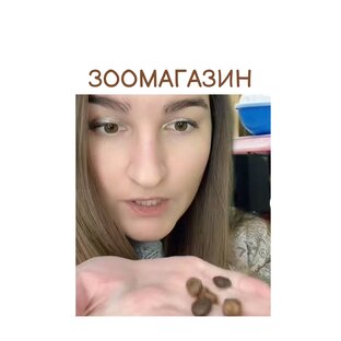 Будни зоомагазина