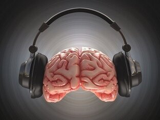 Музыкальные исполнители