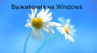 Выживания на Windows