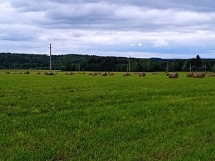 Сельхозработы. 