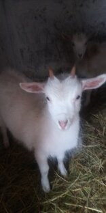 В селе живут так большинство