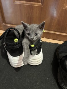 Уход от Мартина