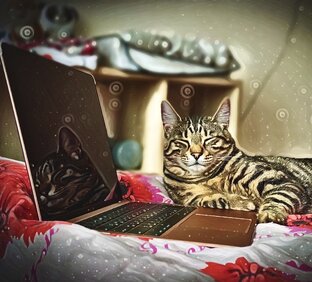 КОШАЧЬИ 🐈 ИСТОРИИ