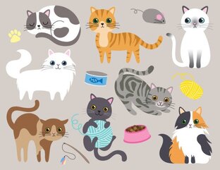 Любителям кошек