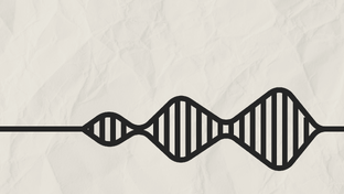 Рождение звука