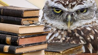 Инструменты счастливой жизни