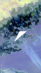 Лица поколения