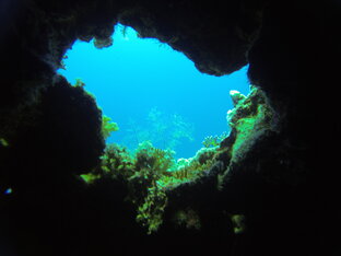 Египет. Север