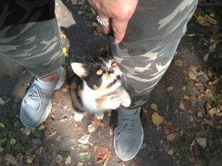 Весточки из дома 🧡🏡