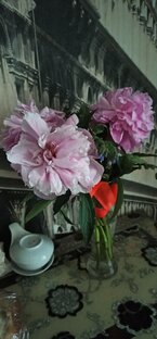 Истории и опыт из моей и не только моей жизни